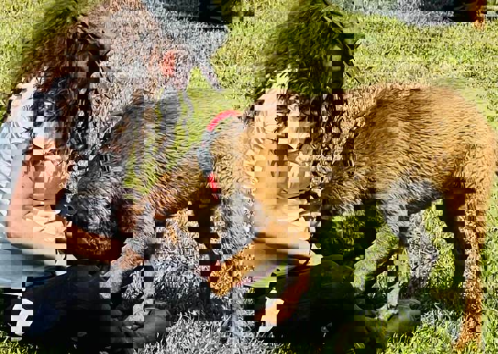 PHOTO 2024 07 04 22 40 38 15