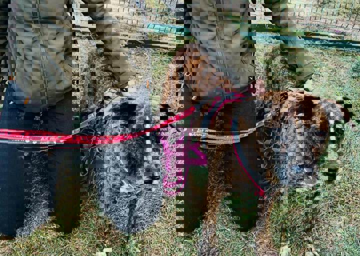 Aca Careday Okt 2025 71