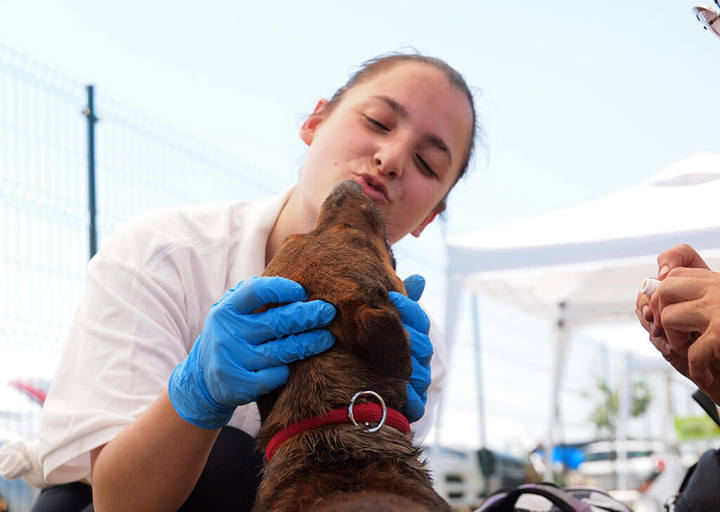 Kopie Von 25 07200236