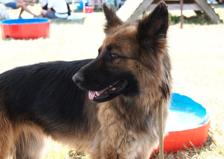 Kopie Von 25 07200401