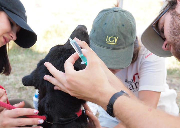 Kopie Von 25 07200265