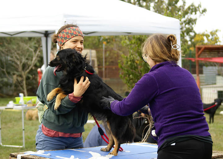 Kopie Von 25 10120441