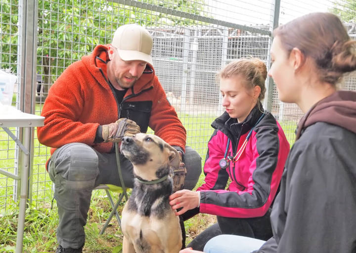 Kopie Von 25 05180166