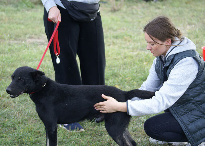 Kopie Von 25 10120174