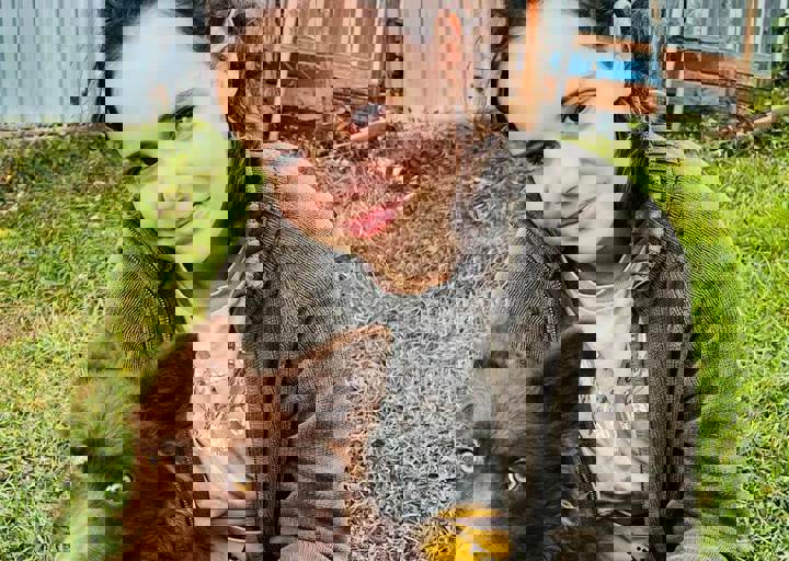 Aca Careday Okt 2025 03