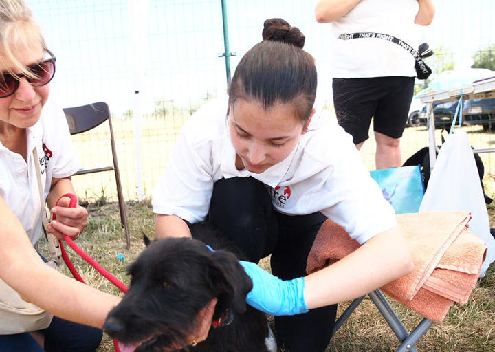 Kopie Von 25 07200302