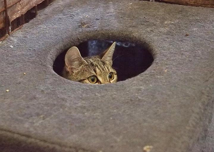 Kopie Von 25 10120271