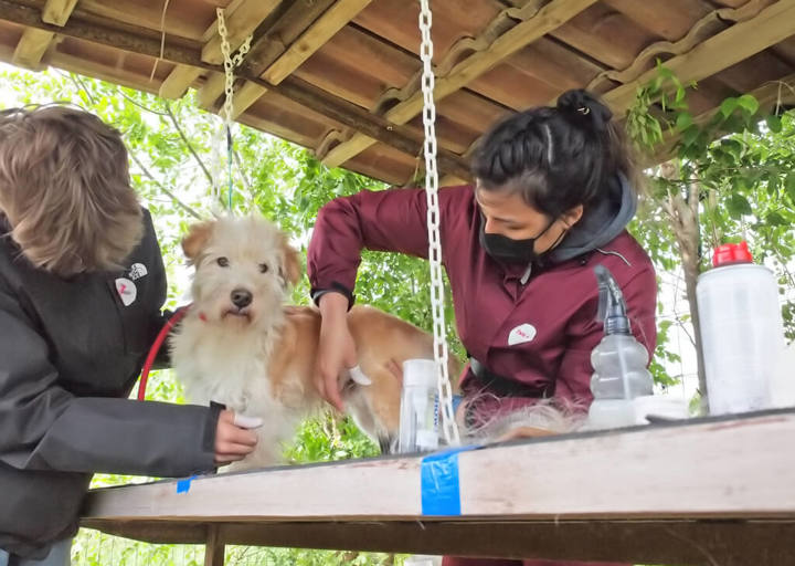 Kopie Von 25 05180262