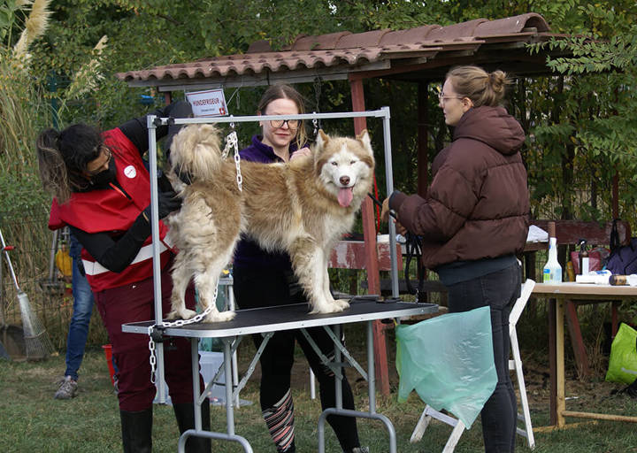 Kopie Von 25 10120208