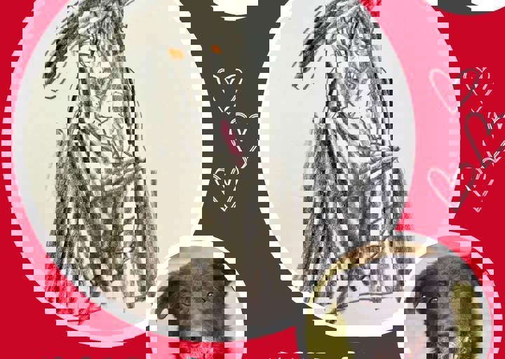 Aca Langsitzer Kids Rex