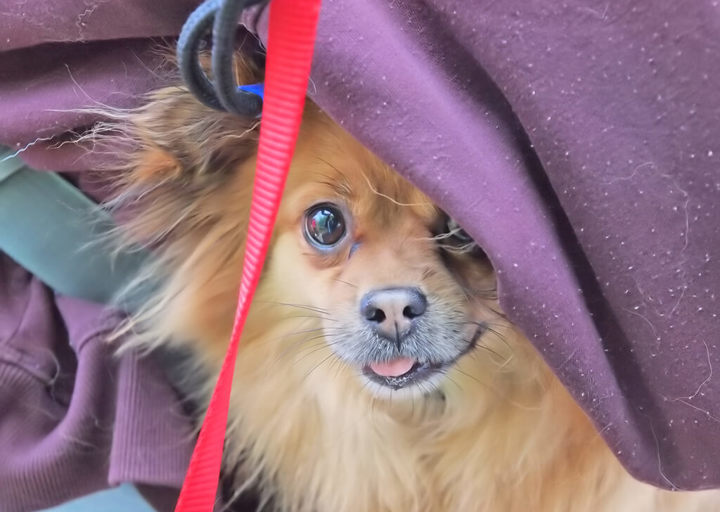 Kopie Von 25 05180298