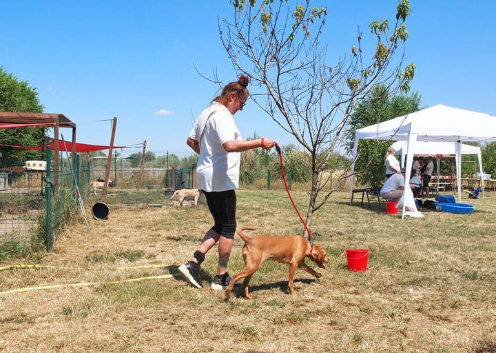 Kopie Von 25 07200378