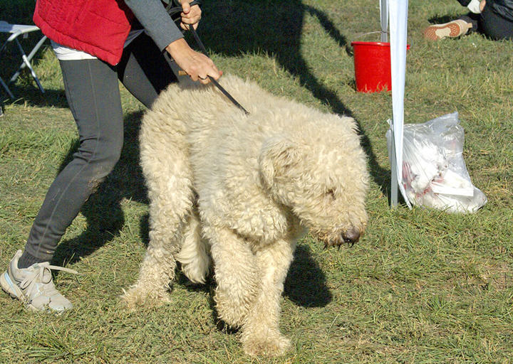 Kopie Von 25 10120612