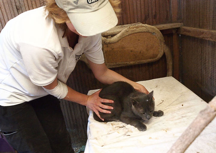 Kopie Von 25 07200455