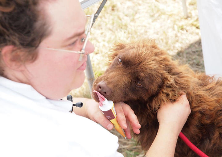 Kopie Von 25 07200168