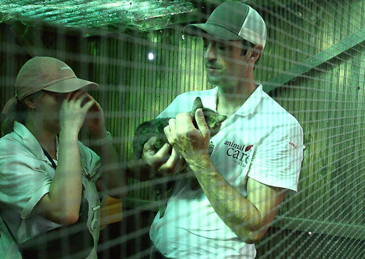 Kopie Von 25 07200445