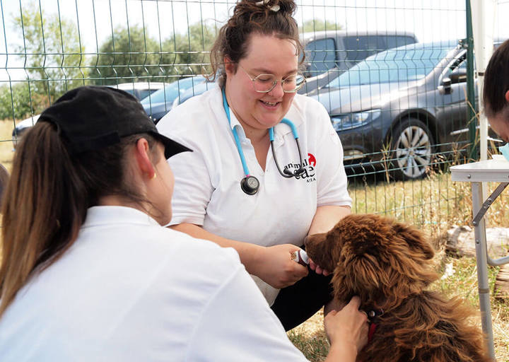 Kopie Von 25 07200167