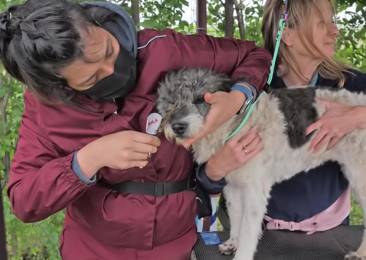 Kopie Von 25 05180238