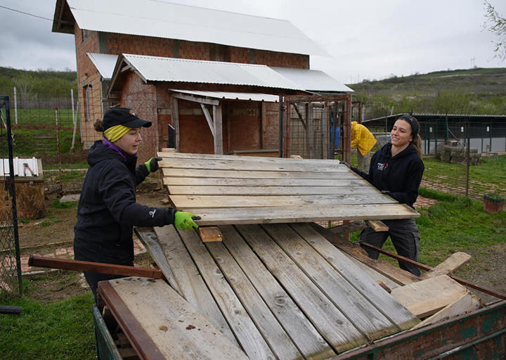 Aca Tierheim Svilos 9