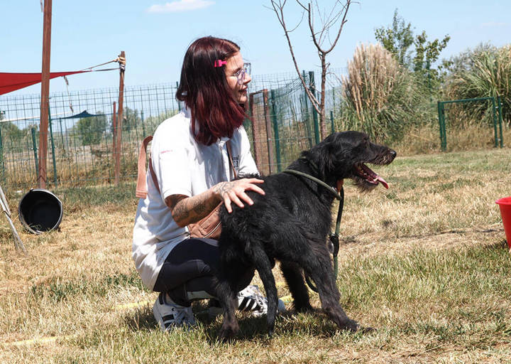 Kopie Von 25 07200384