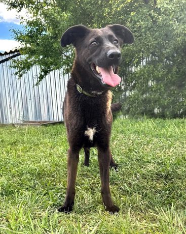 Soraya 4