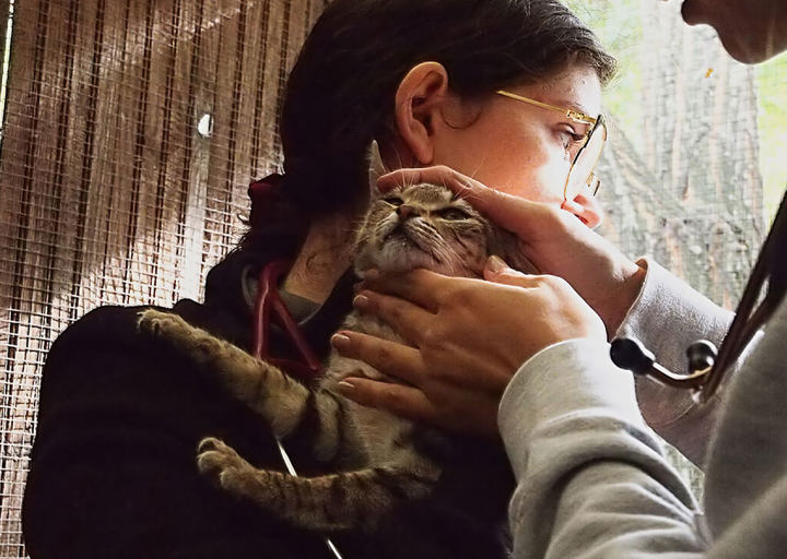 Kopie Von 25 10120306