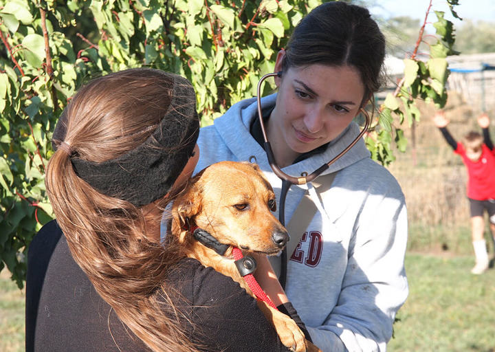 Kopie Von 25 10120613