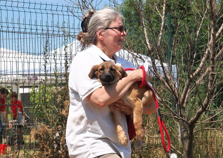 Kopie Von 25 07200359