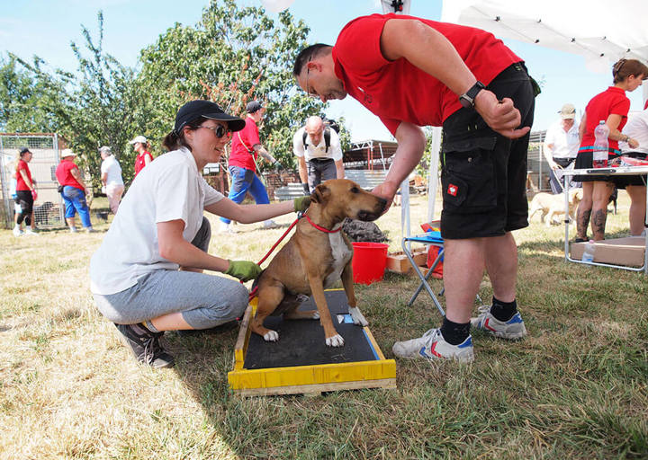 Kopie Von 25 07200145