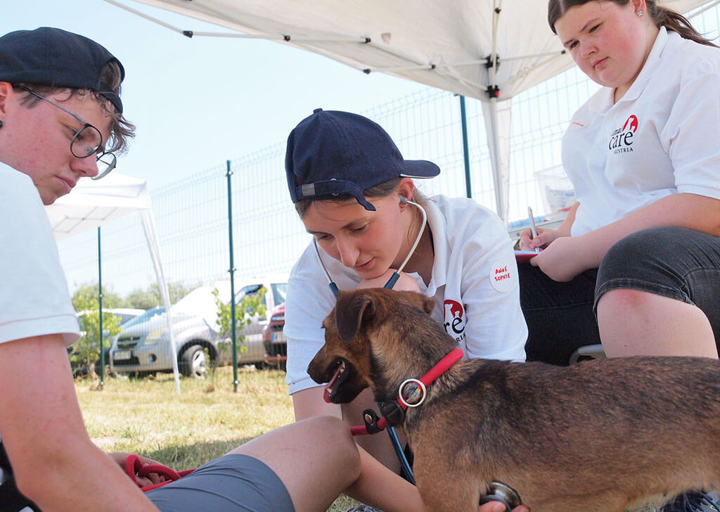 Kopie Von 25 07200276