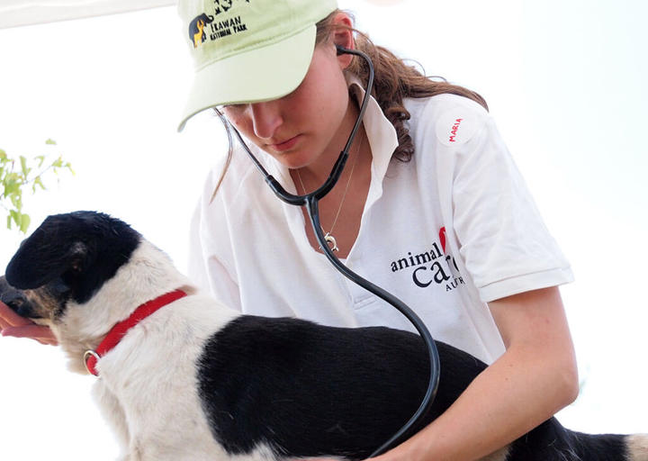 Kopie Von 25 07200206