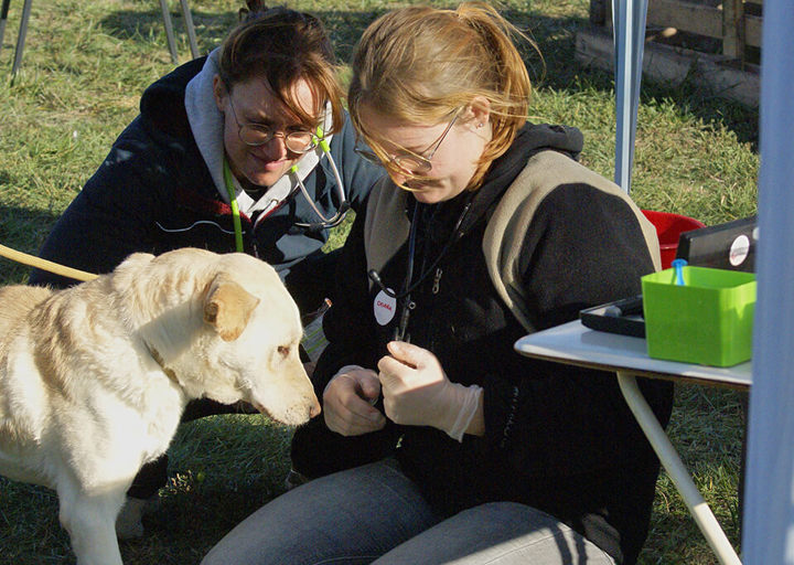 Kopie Von 25 10120611