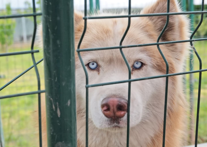 Kopie Von 25 05180019