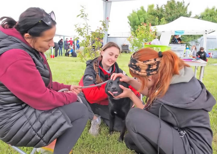 Kopie Von 25 05180147