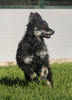 Gerda 5