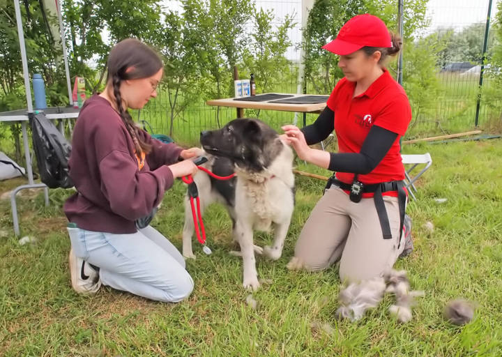 Kopie Von 25 05180119