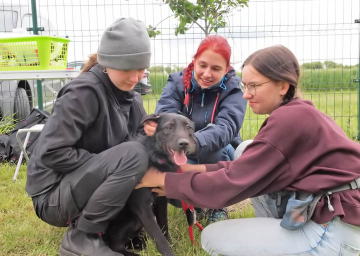 Kopie Von 25 05180215