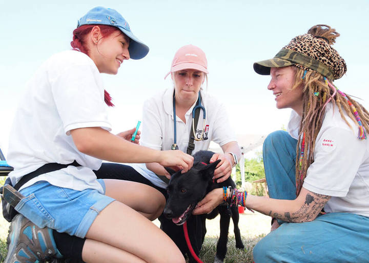 Kopie Von 25 07200211