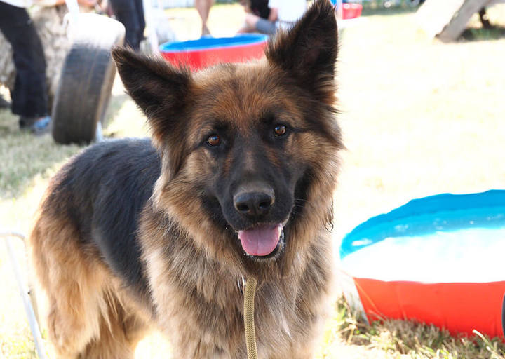 Kopie Von 25 07200402