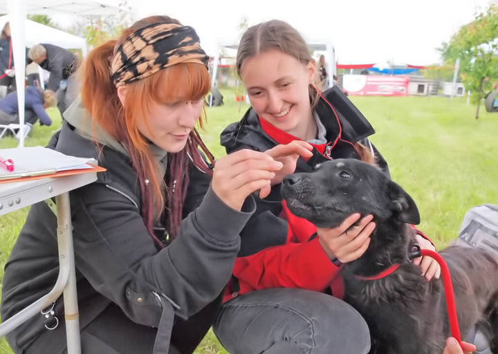 Kopie Von 25 05180117