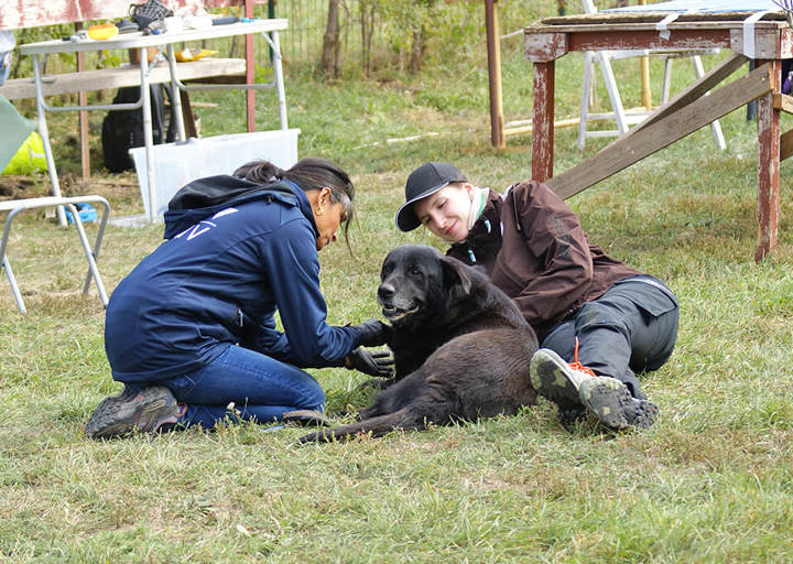 Kopie Von 25 10120384