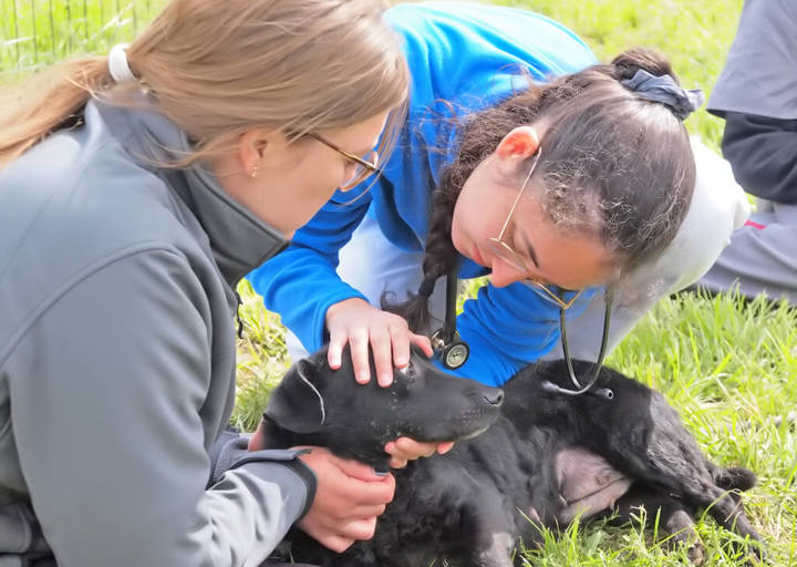 Kopie Von 25 05180275