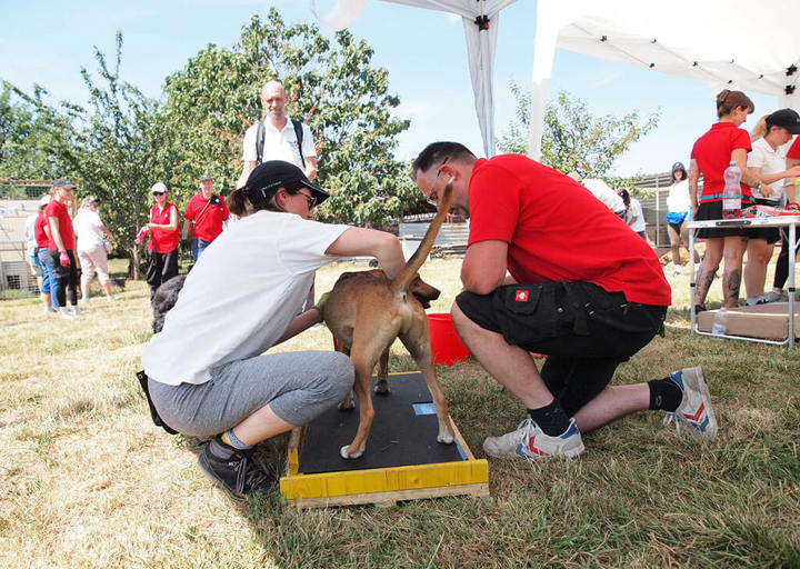 Kopie Von 25 07200146