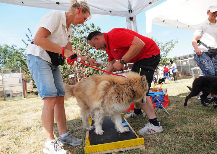 Kopie Von 25 07200143