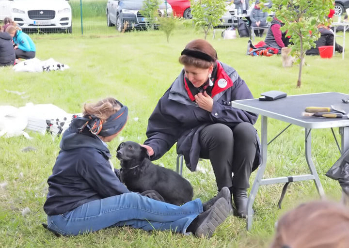 Kopie Von 25 05180254