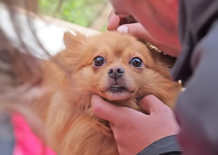 Kopie Von 25 05180300