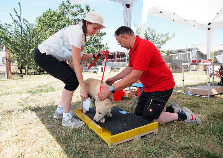 Kopie Von 25 07200138