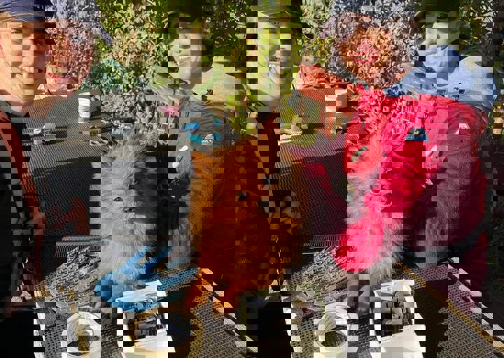 Aca Careday Okt 2025 69