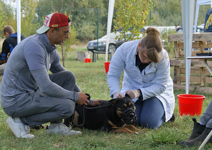 Kopie Von 25 10120187