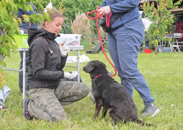 Kopie Von 25 05180224